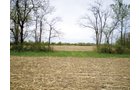 Property photo 2 - 160 Acres in 4 Tracts - Building Potential and Cropland